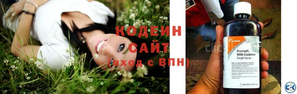 гидра Богородицк