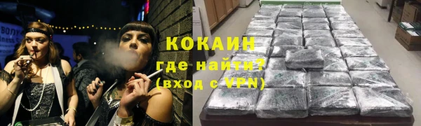 гидра Богородицк