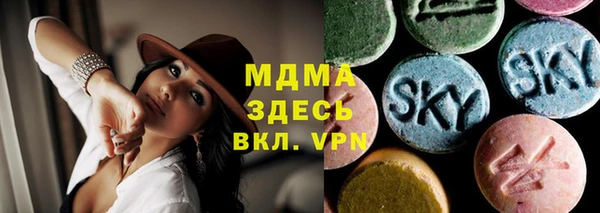 гидра Богородицк
