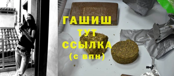 гидра Богородицк