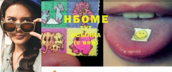 гидра Богородицк